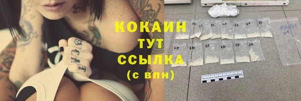 Альфа ПВП Краснослободск
