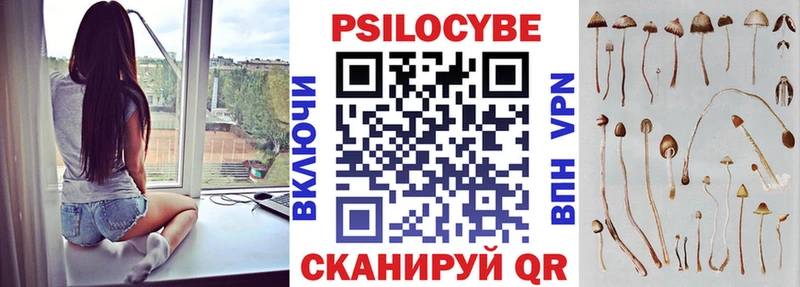 Псилоцибиновые грибы Cubensis  закладки  MEGA ONION  Юрьевец 